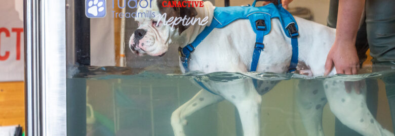 Canactive Canine Hydrotherapy Centre
